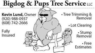 Bigdog and Pups Tree Service LLC