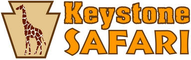 Keystone Safari